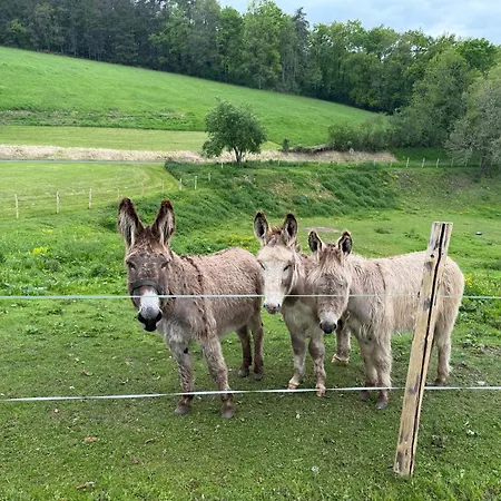 Prázdninový dům Jolie De Charme Pour 8 Personnes Avec Piscine Rouffignac Saint-Cernin